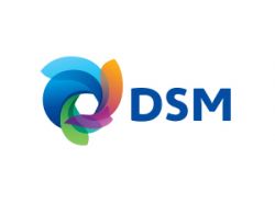 DSM DSM