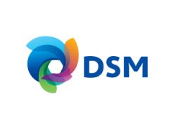 DSM